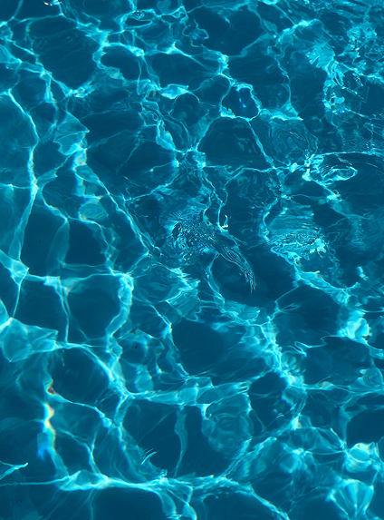 Somewhere between Belief & Understanding: Lessons from wrestling with God at 36